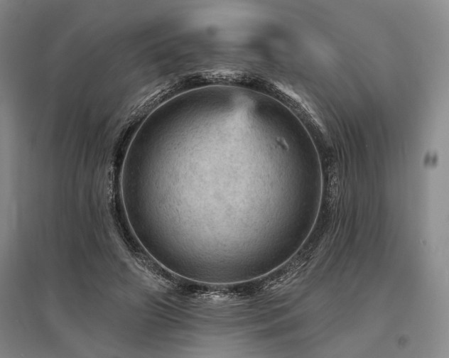 X0000095510498200712141427