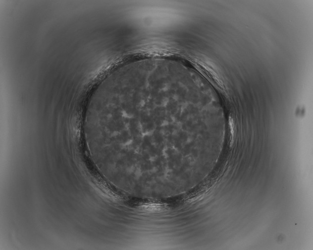 X0000095510499200712141427