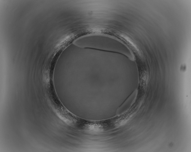 X0000095510500200712141427