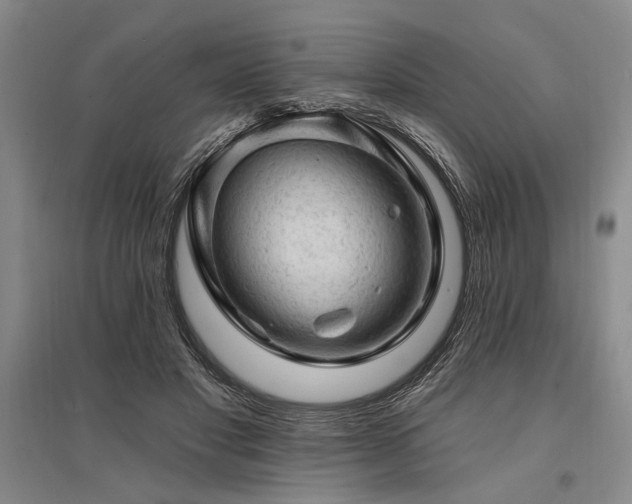 X0000095510501200712141427