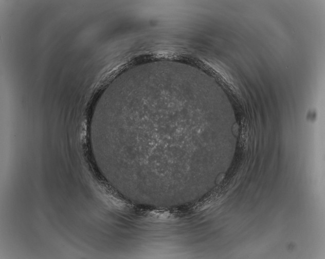 X0000095510502200712141427