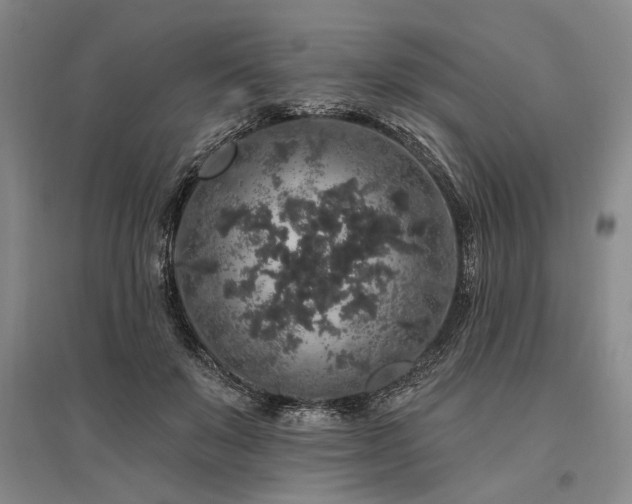 X0000095510503200712141427