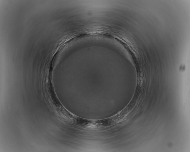 X0000095510504200712141427
