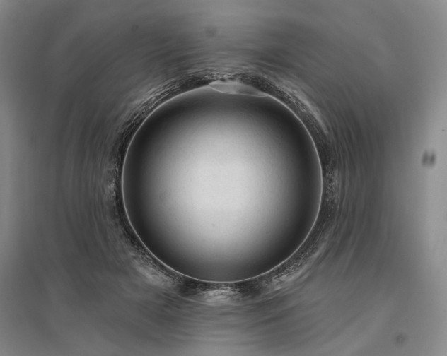 X0000095510505200712141427