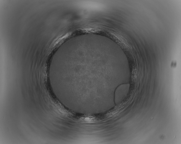 X0000095510506200712141427