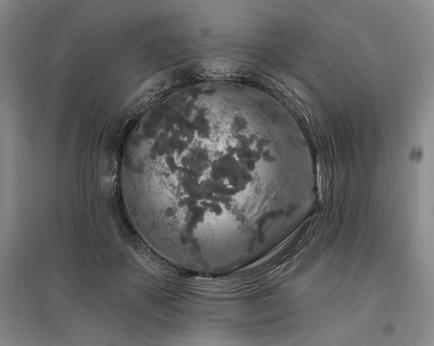 X0000095510507200712141427