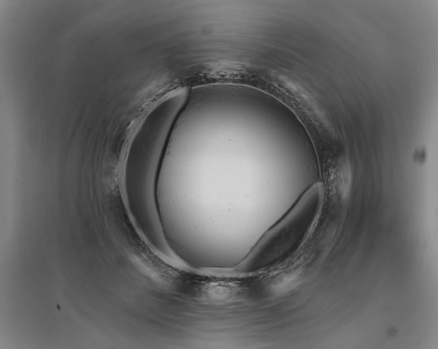X0000095510508200712141427