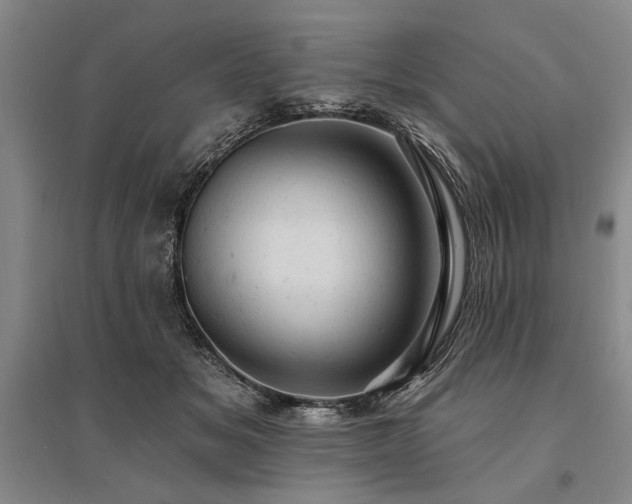 X0000095510509200712141427