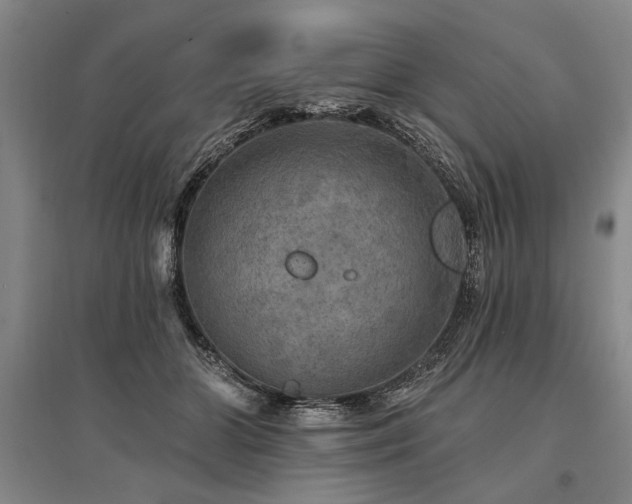 X0000095510510200712141427