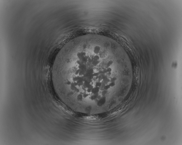 X0000095510511200712141426