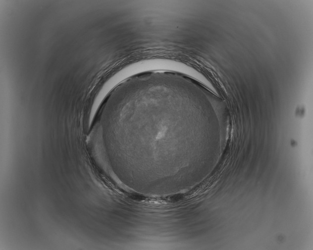 X0000095510512200712141426