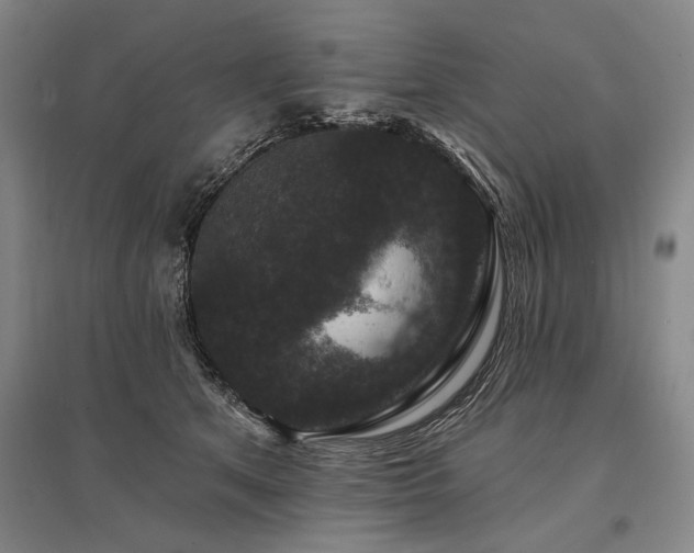 X0000095510513200712141426