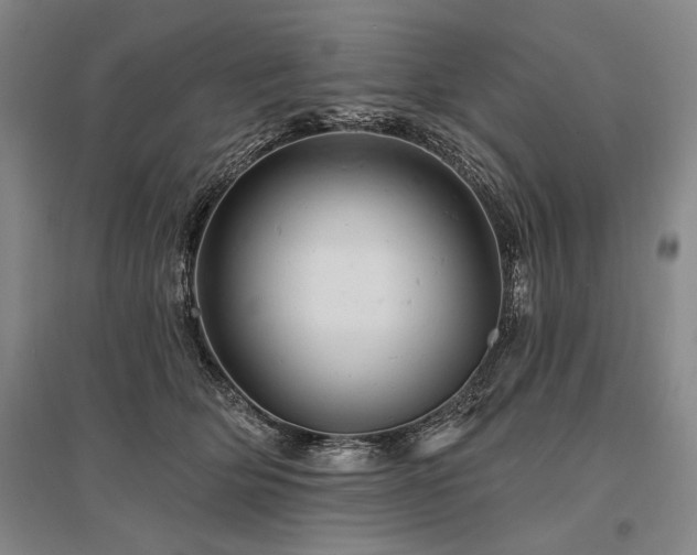 X0000095510514200712141426