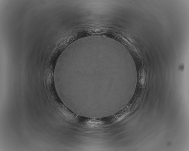 X0000095510515200712141426