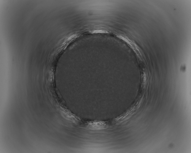 X0000095510517200712141426