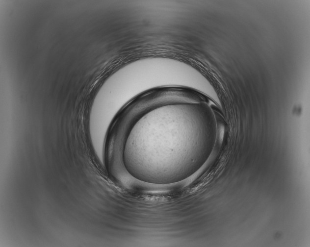 X0000095510520200712141426