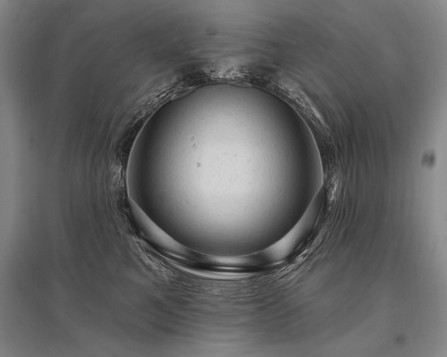 X0000095510521200712141426