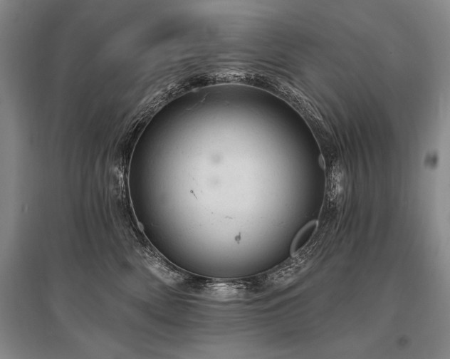X0000095510522200712141426