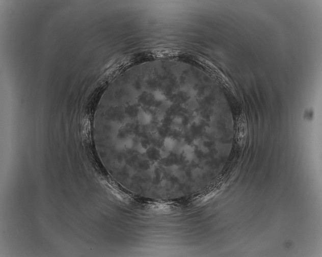 X0000095510523200712141426