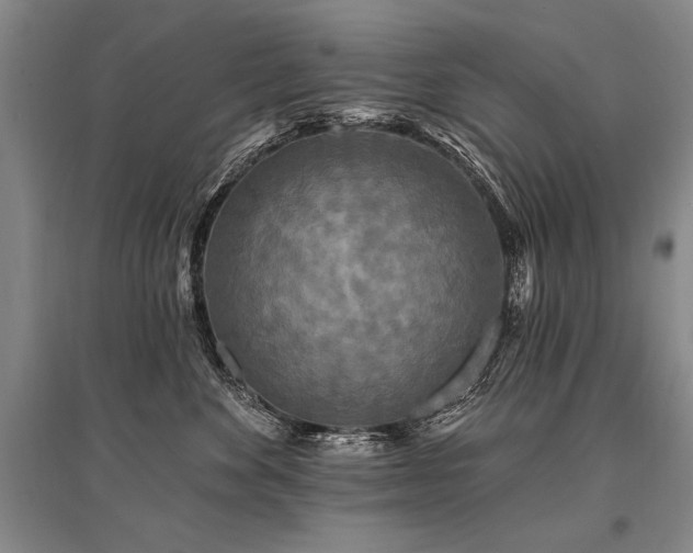 X0000095510524200712141426