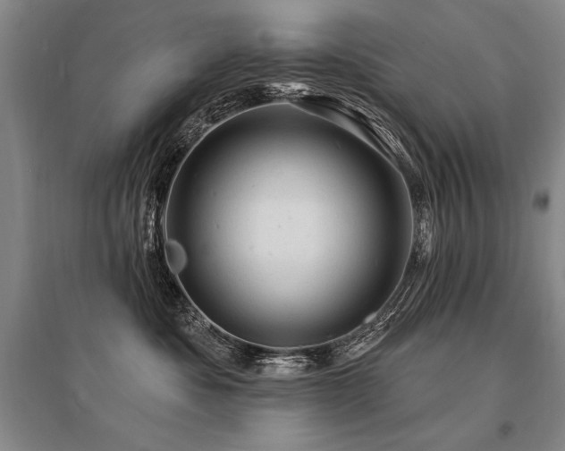 X0000095510525200712141426