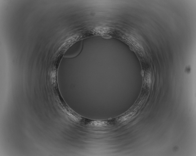 X0000095510526200712141426