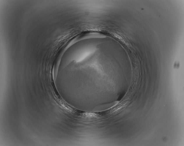 X0000095510528200712141426
