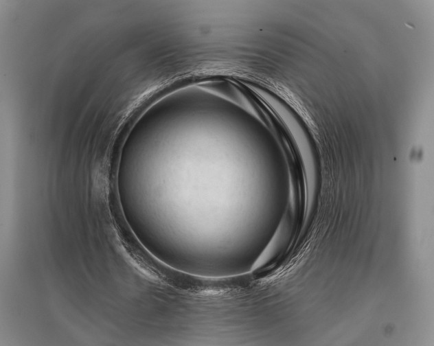 X0000095510530200712141426