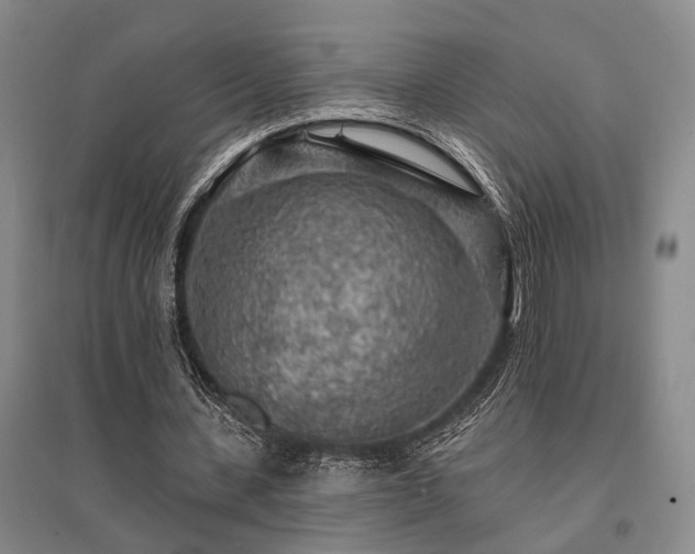 X0000095510531200712141426