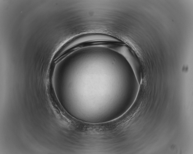 X0000095510532200712141426