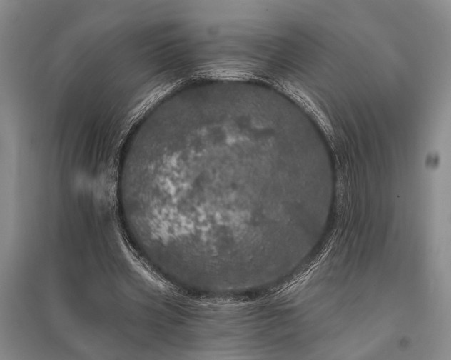 X0000095510533200712141426