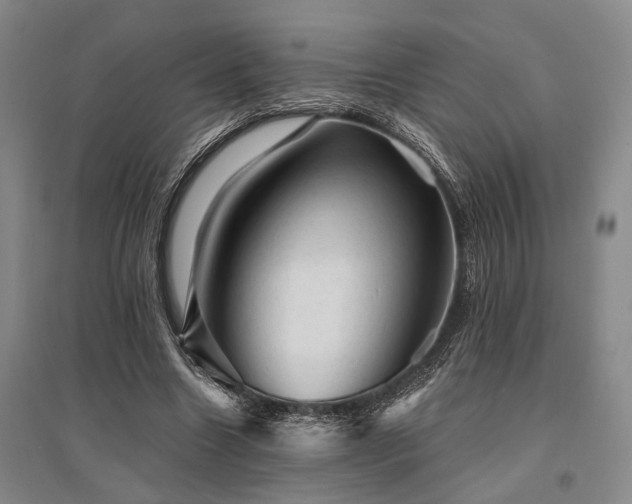 X0000095510538200712141426