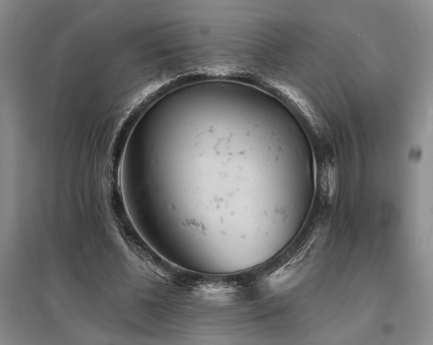 X0000095510540200712141426