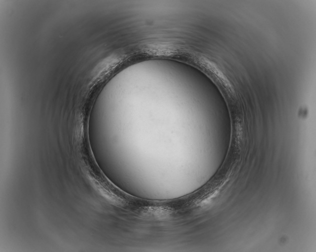 X0000095510541200712141426