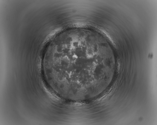X0000095510542200712141426