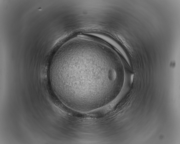 X0000095510543200712141426