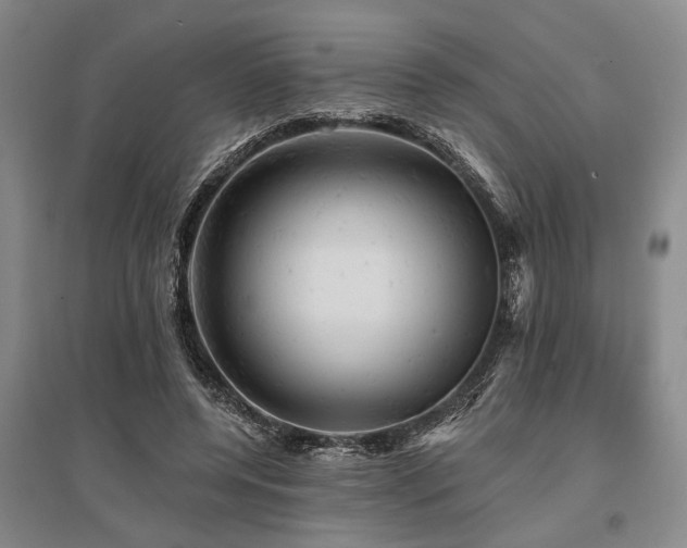 X0000095510544200712141426