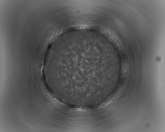 X0000095510545200712141426
