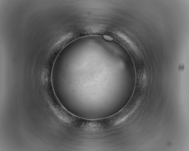 X0000095510546200712141426