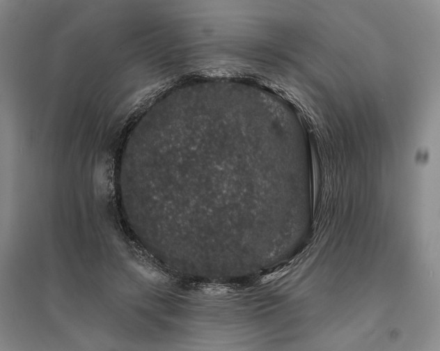 X0000095510547200712141426