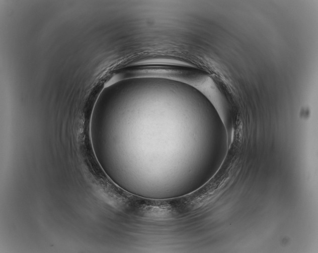 X0000095510548200712141426