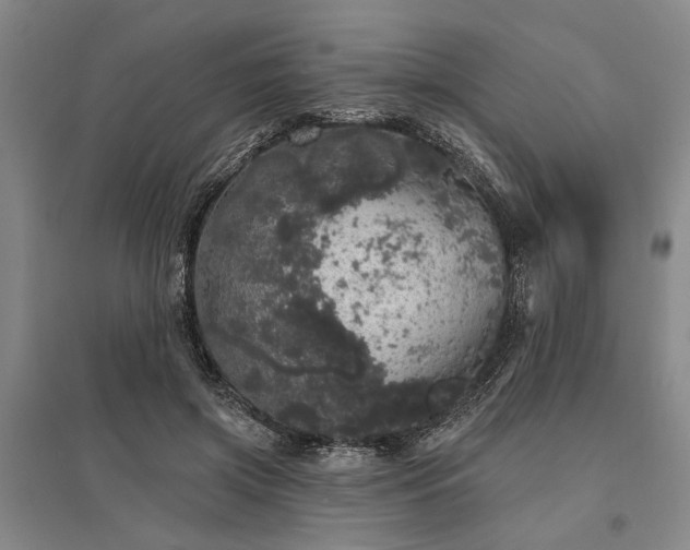 X0000095510549200712141426
