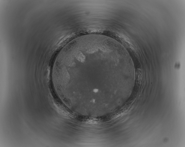 X0000095510550200712141426