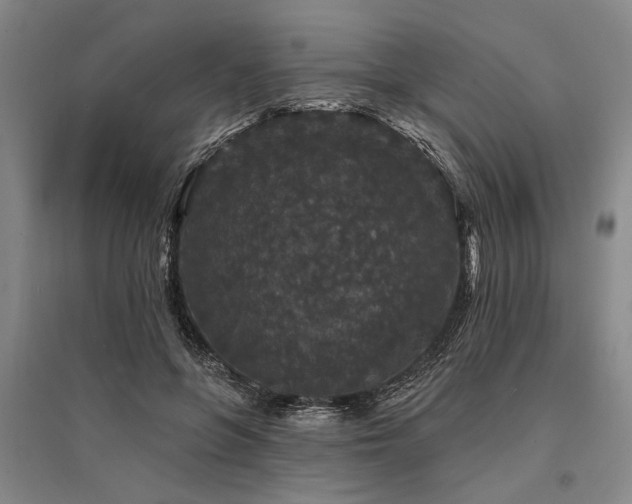 X0000095510551200712141426