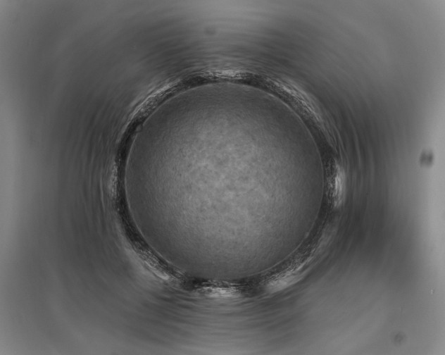 X0000095510552200712141426