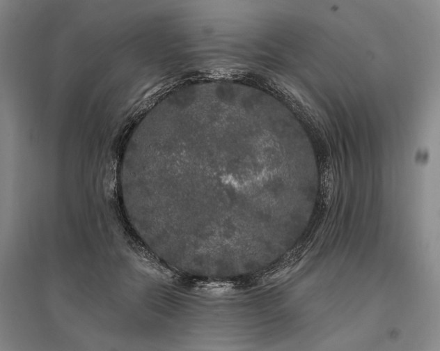X0000095510554200712141426