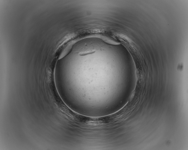 X0000095510556200712141426