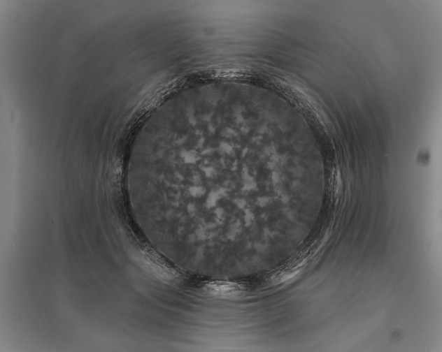 X0000095510557200712141426