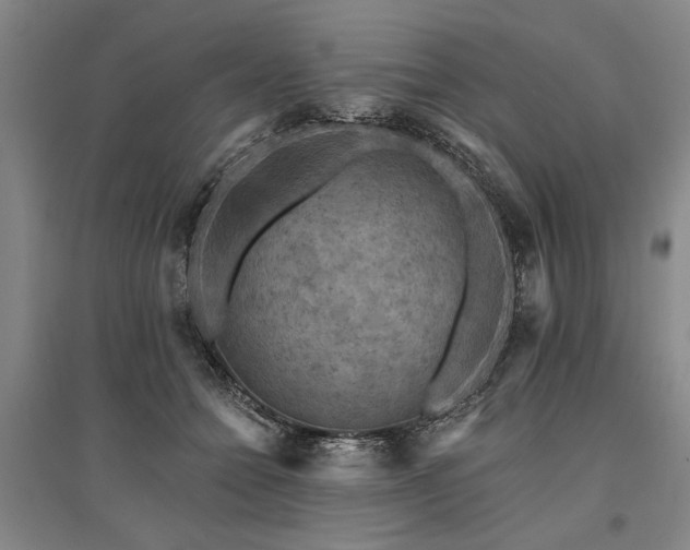 X0000095510558200712141426