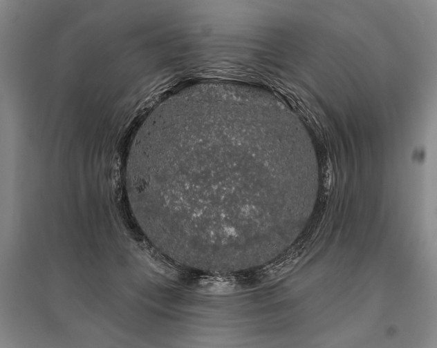 X0000095510559200712141426